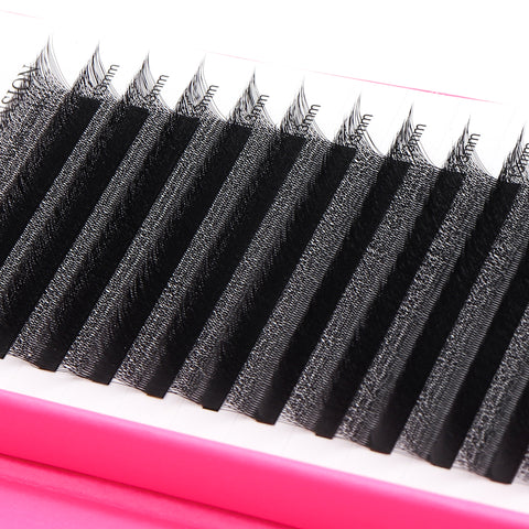 XIUSUZAKI Bloom Automatic Flowering Premade Fans Natural Soft Light Lashes Volume 4D W Shaped Eyelash Extensions XIUSUZAKI Bloom Automatic Flowering Premade Fans Natural Soft Light Lashes Volume 4D W Shaped Eyelash Extensions