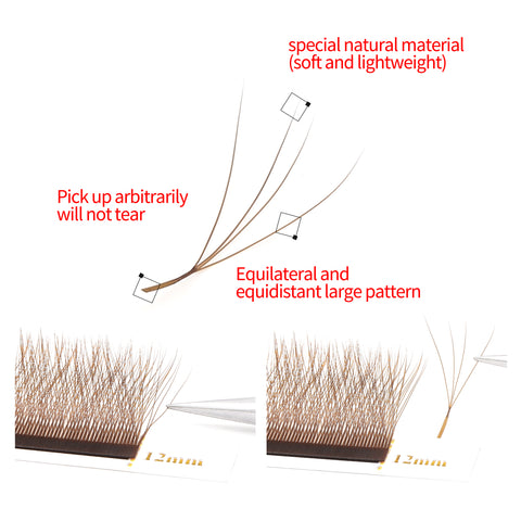 XIUSUZAKI Brown 4D W-Shaped Eyelashes Extensions 4 Tip C/D Curl High Quality Idividual Lash XIUSUZAKI Brown 4D W-Shaped Eyelashes Extensions 4 Tip C/D Curl High Quality Idividual Lash