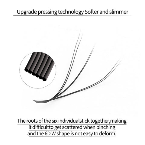 XIUSUZAKI 6D W Shape Eyelash Extensions Blister Premade Fans XIUSUZAKI 6D W Shape Eyelash Extensions Blister Premade Fans