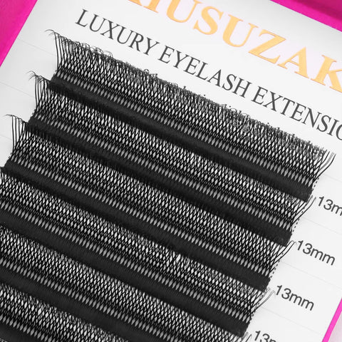 XIUSUZAKI U2-3D